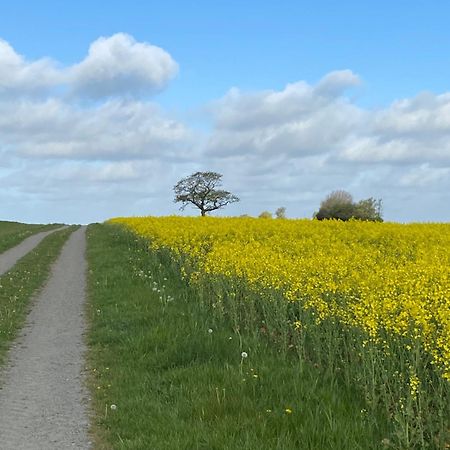 Blomstertantens Hus Trelleborg Bagian luar foto