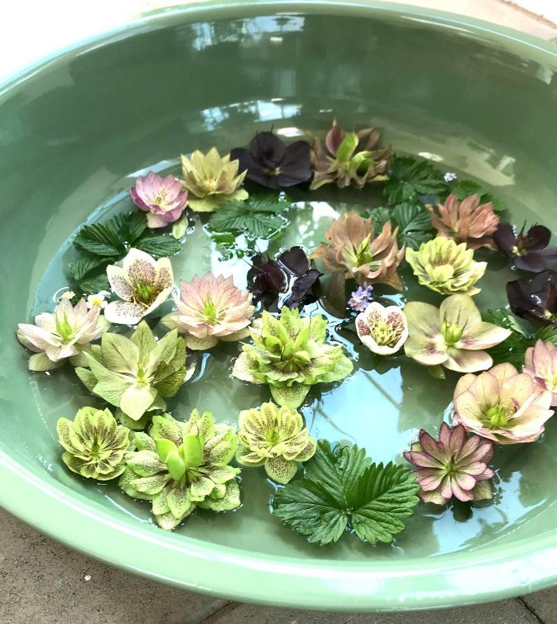 Blomstertantens Hus Trelleborg Bagian luar foto