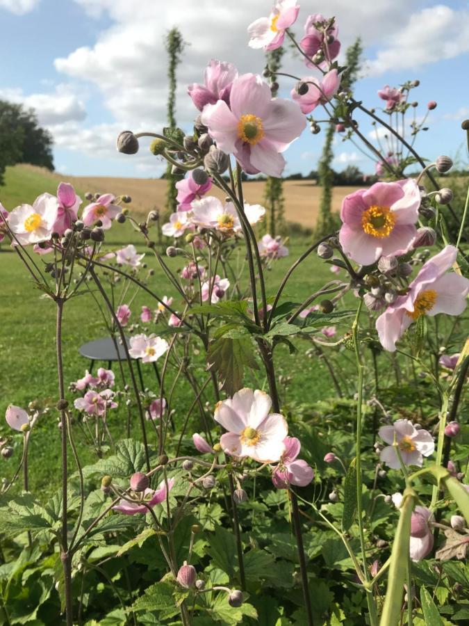 Blomstertantens Hus Trelleborg Bagian luar foto