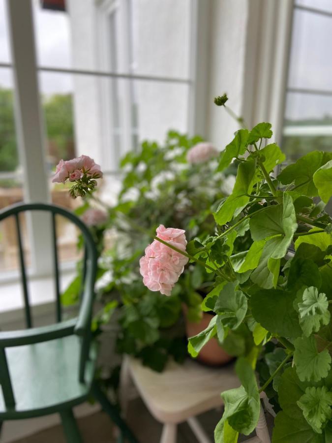 Blomstertantens Hus Trelleborg Bagian luar foto