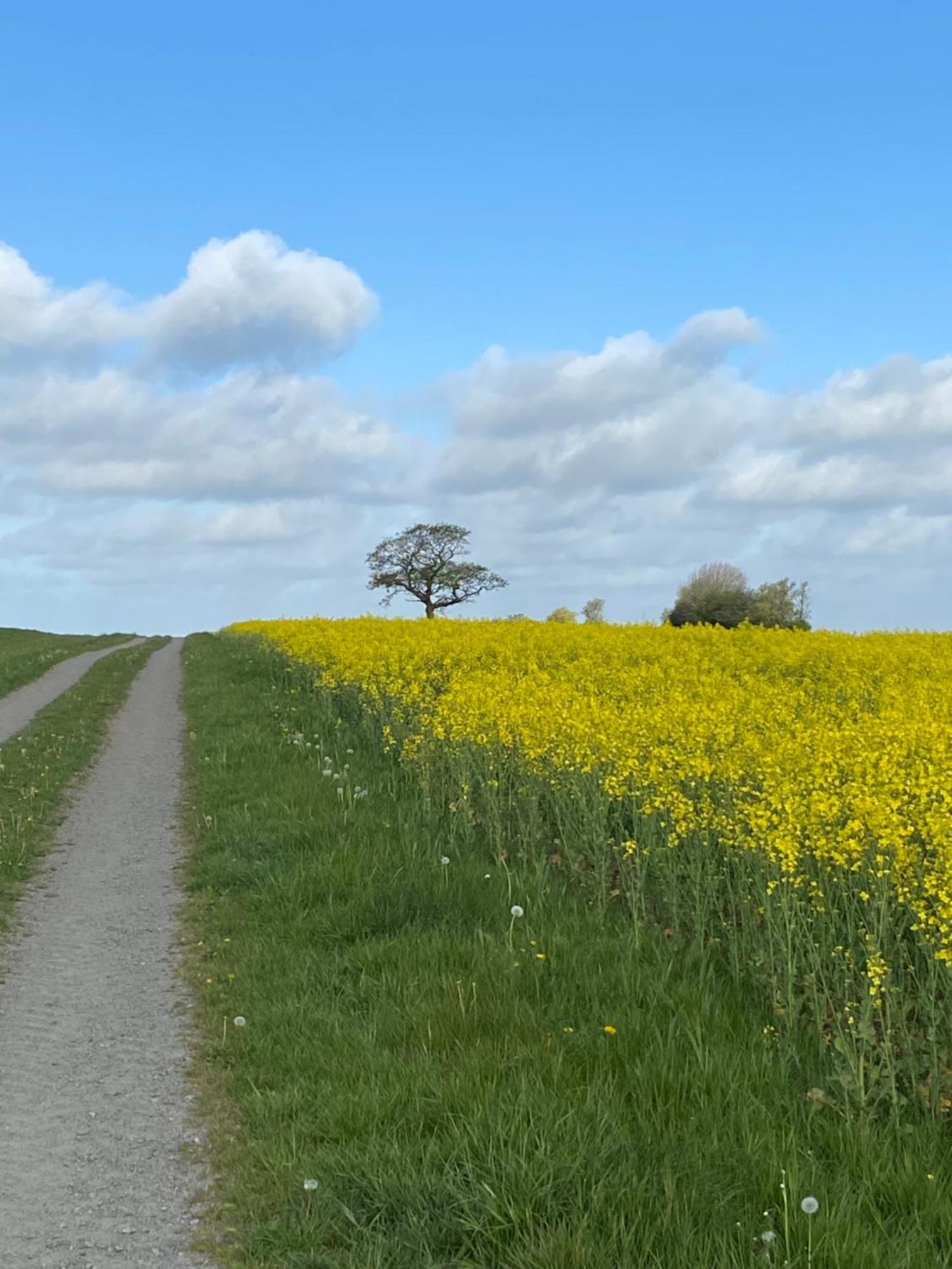 Blomstertantens Hus Trelleborg Bagian luar foto