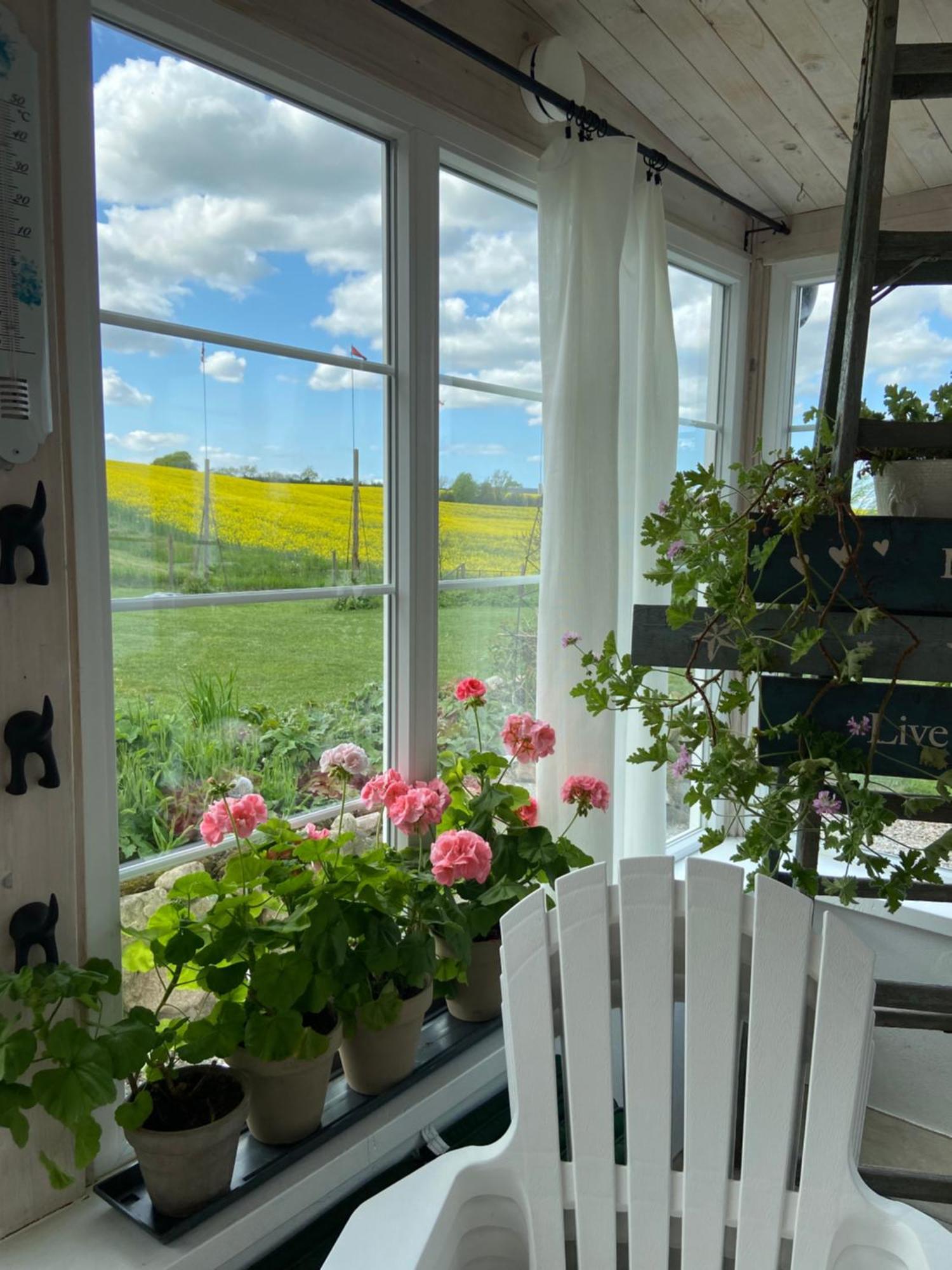 Blomstertantens Hus Trelleborg Bagian luar foto