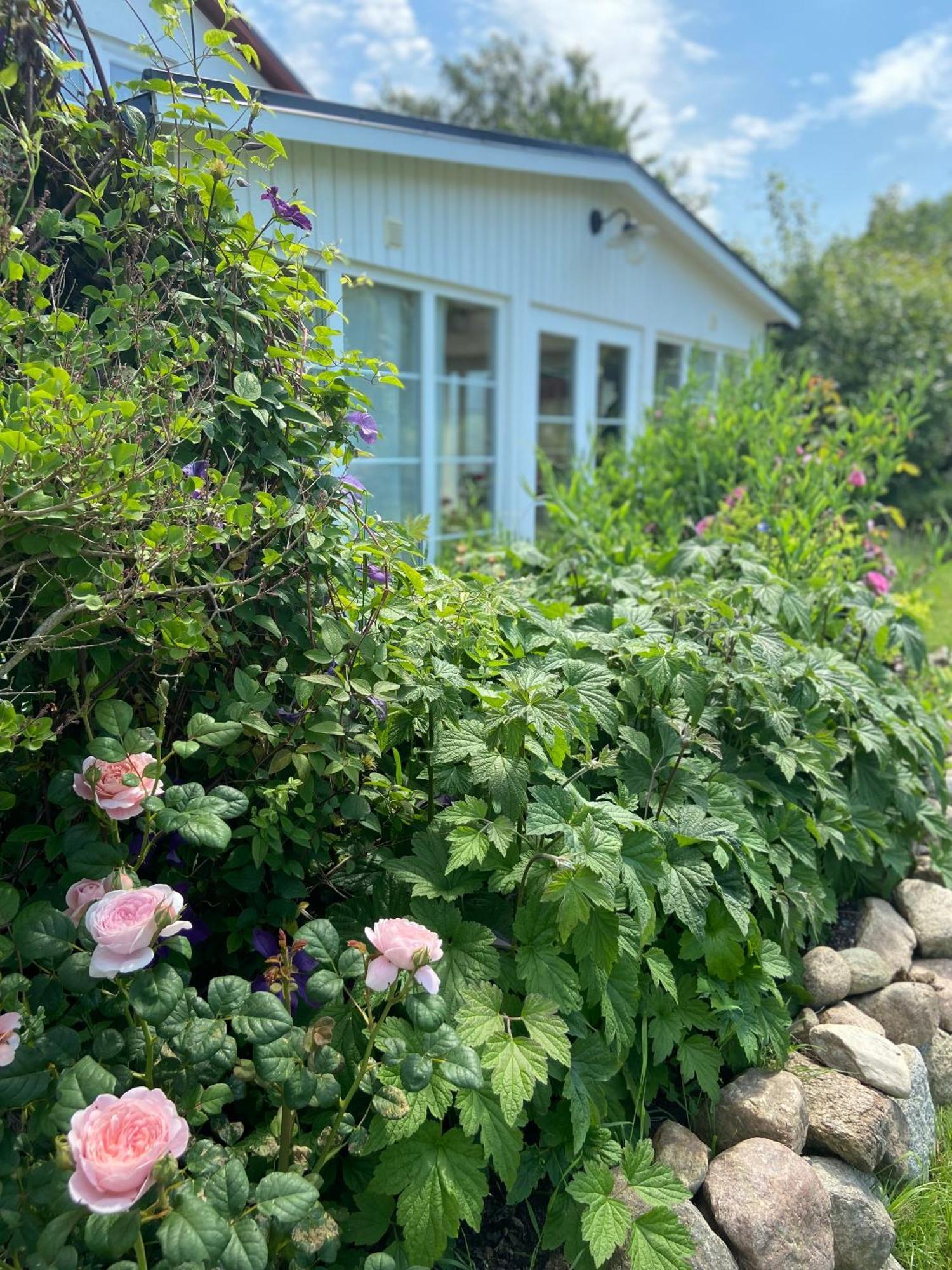 Blomstertantens Hus Trelleborg Bagian luar foto
