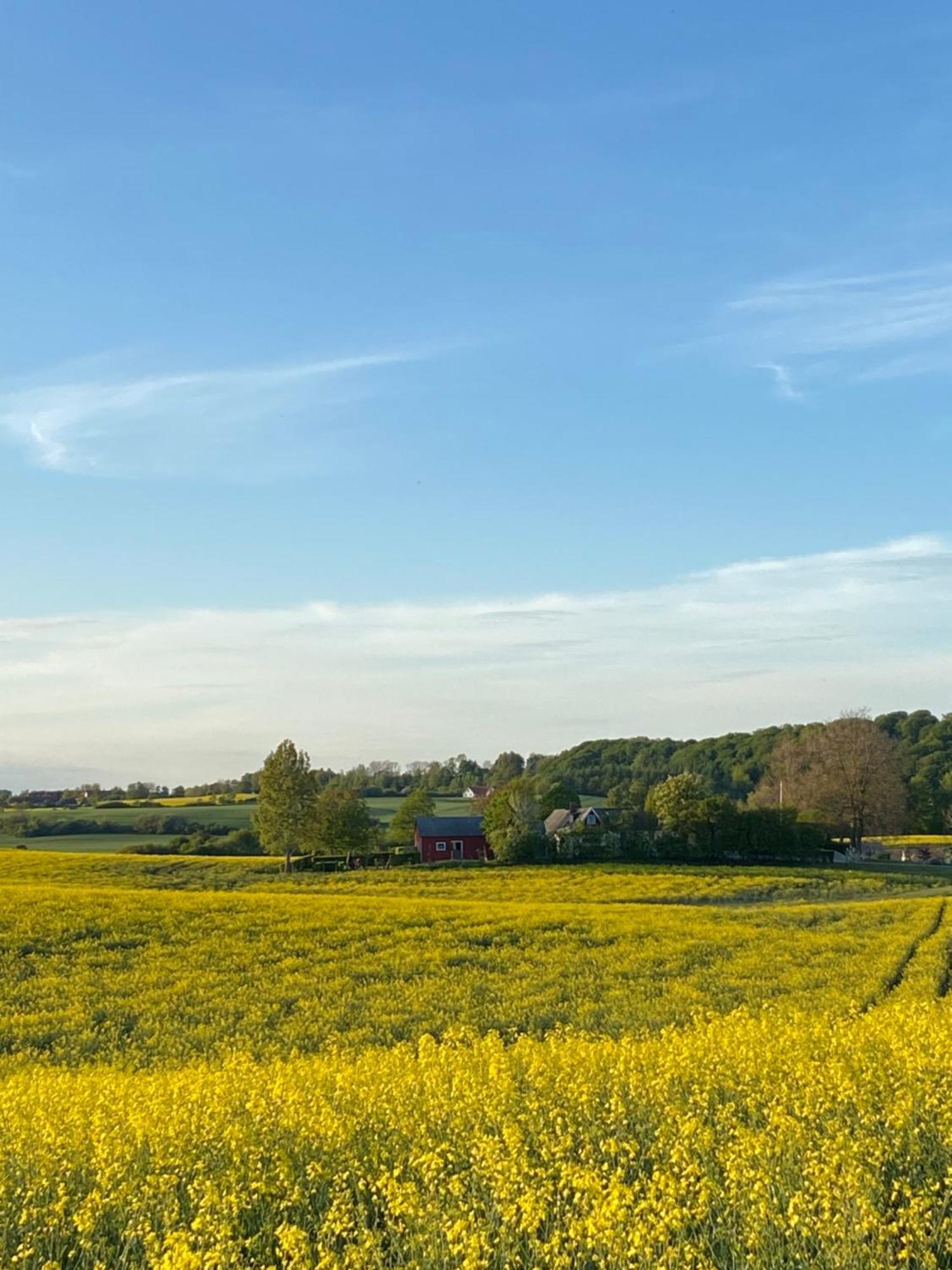 Blomstertantens Hus Trelleborg Bagian luar foto
