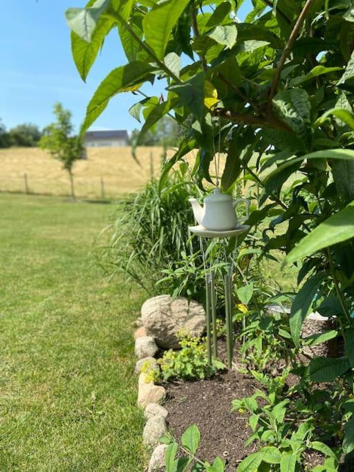 Blomstertantens Hus Trelleborg Bagian luar foto