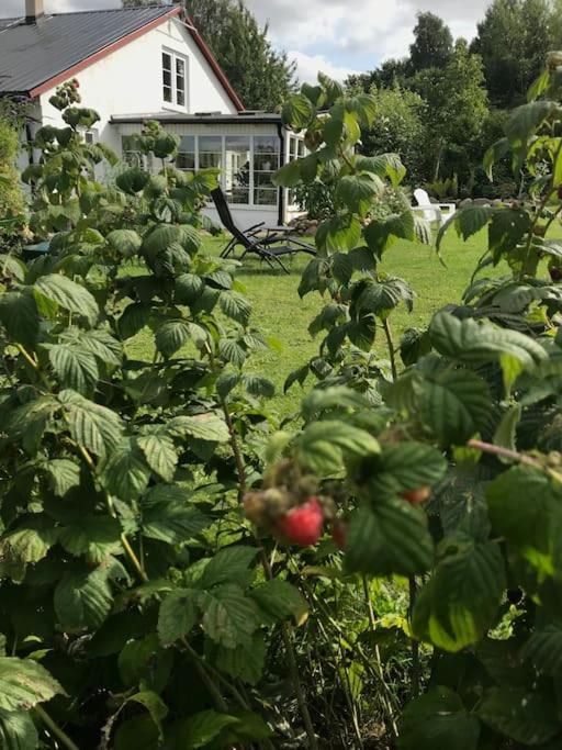 Blomstertantens Hus Trelleborg Bagian luar foto