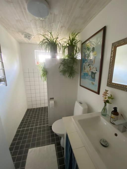Blomstertantens Hus Trelleborg Bagian luar foto